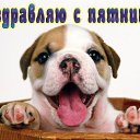 ���� �����, ������ �������� - ��������� 3 �������� 2015 � ������ �������� ��������