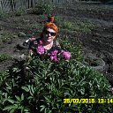 ���� �����, ������, 50 ��� - ��������� 16 ���� 2015 � ������ ���� ����������