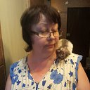 ���� ��������, �����-���������, 72 ���� - ��������� 4 ���� 2015 � ������ ���� ����������