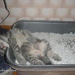 ���� ???, �����, 48 ��� - ��������� 24 ���� 2015