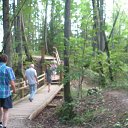 ���� ����, ������� ��������, 55 ��� - ��������� 8 �������� 2015 � ������ ���� ����������