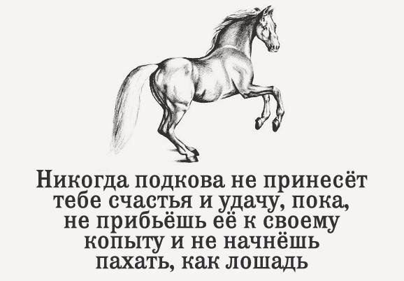 ������� - 4 �������� 2015 � 02:03