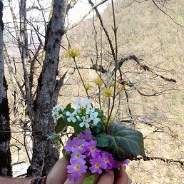 *Liza*, �������, 44 ����