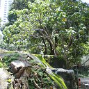 ���� ��������, ��������, 59 ��� - ��������� 24 ���� 2015 � ������ �2015 ���. HONGKONG�