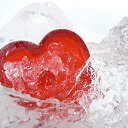 ���� �������, �����, 53 ���� - ��������� 14 ���� 2015 � ������ ������ ��������