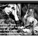 ���� �������, �������, 44 ���� - ��������� 16 ���� 2015 � ������ ������ ��������