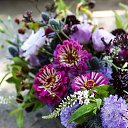 ���� ����, ��������� - ��������� 6 ���� 2015 � ������ ������ ��������