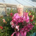 ���� ����, �������, 64 ���� - ��������� 31 ������� 2015 � ������ ���������� ������