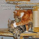 ���� Sakhalin, ���������, 42 ���� - ��������� 9 ������� 2015 � ������ ���� ���� ������