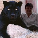 ���� ���� �����, �������, 63 ���� - ��������� 2 �������� 2015 � ������ ���� ����������