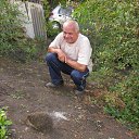 ���� ������, ���������, 79 ��� - ��������� 28 ������� 2015 � ������ ���� ����������