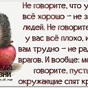 ���� �����, �����, 48 ��� - ��������� 6 ������� 2015 � ������ �3�