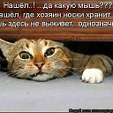 ���� ���������, ������, 65 ��� - ��������� 28 ��� 2015 � ������ ���� ����������