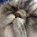 ���� �������, ��������� - ��������� 19 ���� 2015 � ������ ���� ����������