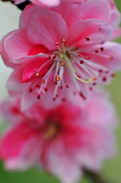    .      ,   :    ... - 7