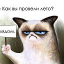 ���� �����, �����������, 56 ��� - ��������� 14 �������� 2015 � ������ �2013�