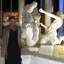 ���� ������, ����������� - ��������� 8 �������� 2015