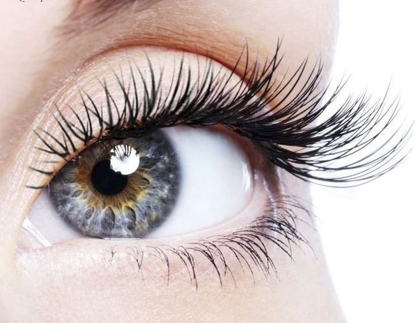 ������� �� ������.����� ���, ��� ���������� ��������� ��� ����� ������, ����� ���� ��������� ������ ...