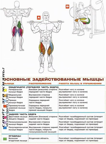 Как накачать внутреннюю часть бедра мужчине в тренажерном зале