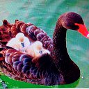 ���� ����, �����������, 65 ��� - ��������� 1 ������� 2015