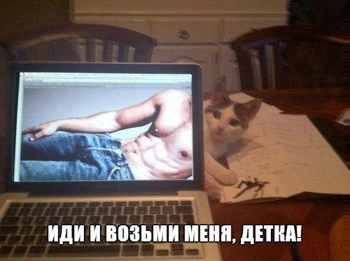 PARTY HARD      https://fotostrana.ru/away?to=/sl/ZkC