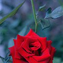 ������� ���� �� ������� ���� ����������