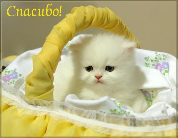 ���� �� ������..������ ����� ������..) http://fotostrana.ru/contest/21516902/