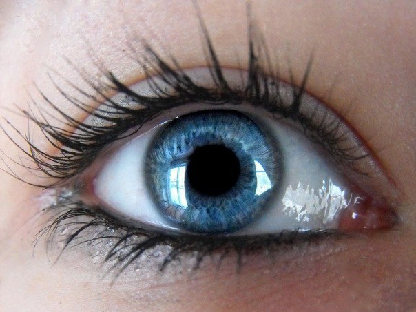 #глаза #голубой #eyes #blue | Imagenes de ojos, Fotos de ojos, Hombres de ojos azules