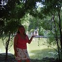 ���� ����, �����-���������, 49 ��� - ��������� 5 ��� 2015 � ������ ���� ����������