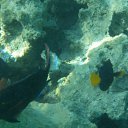 ���� �����, ������, 43 ���� - ��������� 25 ���� 2015 � ������ �������� ����