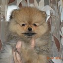 ������� �� ������� ������� ������