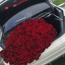 ���� ������, ������������, 45 ��� - ��������� 10 ��� 2015 � ������ �������