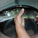 ���� ������, ���� - ��������� 28 ���� 2015 � ������ ������ ��������