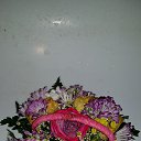 ���� ��������, ������ - ��������� 1 �������� 2015 � ������ ������ ��������