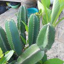    -  ,  -  23  2015    2014.  Lawana.  11-. (2 )