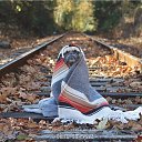 ���� ������, ��� - ��������� 30 ������� 2015 � ������ ������ ��������