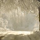 ���� Sall ������*�f (��������), ������, 39 ��� - ��������� 30 ��� 2015 � ������ �������� ����-����