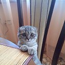  )))))    