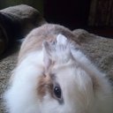 ��� ������� �����. �� ������� ���� ����������