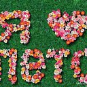 ���� *Jenny*, ������, 45 ��� - ��������� 4 ��� 2015 � ������ �����