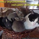 ���� �����, �����������, 64 ���� - ��������� 30 ���� 2015 � ������ ���� ����������