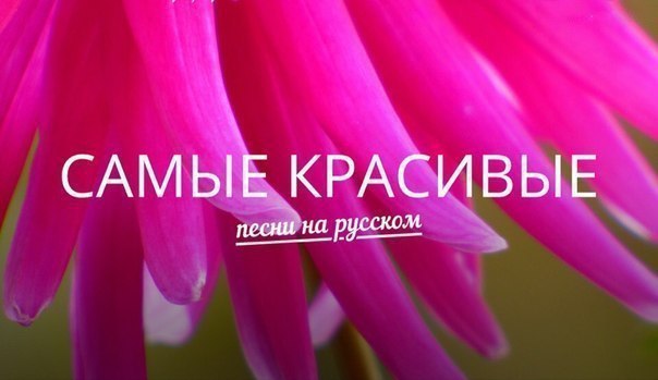 Текст песни ты самая красивая. Красивые песни. Слова песни ты самая красивая. Песни самая красивая моя. Энигма ремикс.