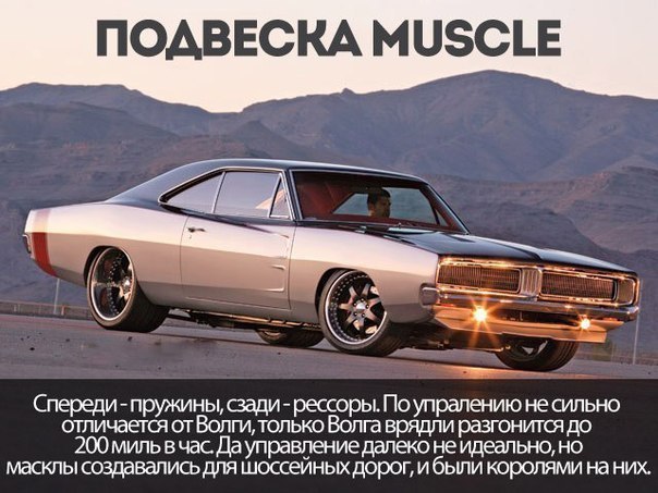 8    Muscle Cars - 8