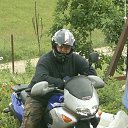 ���� ������, �������, 52 ���� - ��������� 19 ���� 2015 � ������ ���� ����������