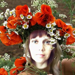 ����������� �����, ���������, 48 ���