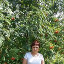 ���� ���������, ����-�����������, 47 ��� - ��������� 22 ���� 2015 � ������ ���������� ������