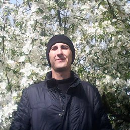 �������, ����������, 44 ����