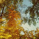 ���� �����, ������ ��������, 26 ��� - ��������� 21 �������� 2015 � ������ ������ ��������