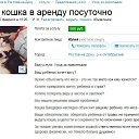 ���� ������, ���������, 44 ���� - ��������� 15 ��� 2015 � ������ ������ ��������