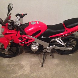 ���� ���������, �����������, 52 ���� - ��������� 22 ������� 2015